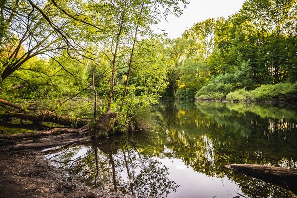 Natuurgebied Wolvenberg